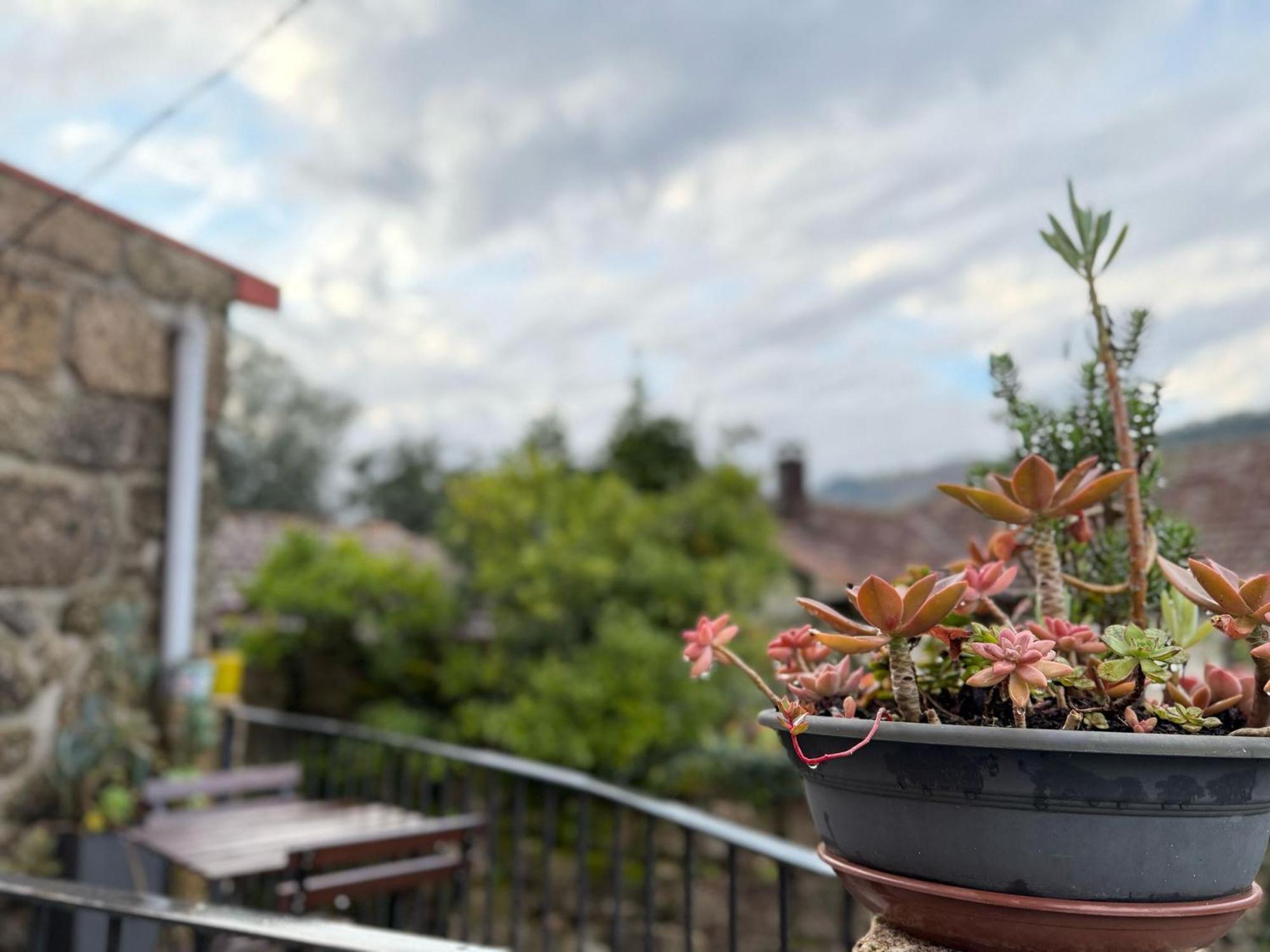 Casa Carlinhos Da Carreira Βίλα Terras de Bouro Εξωτερικό φωτογραφία